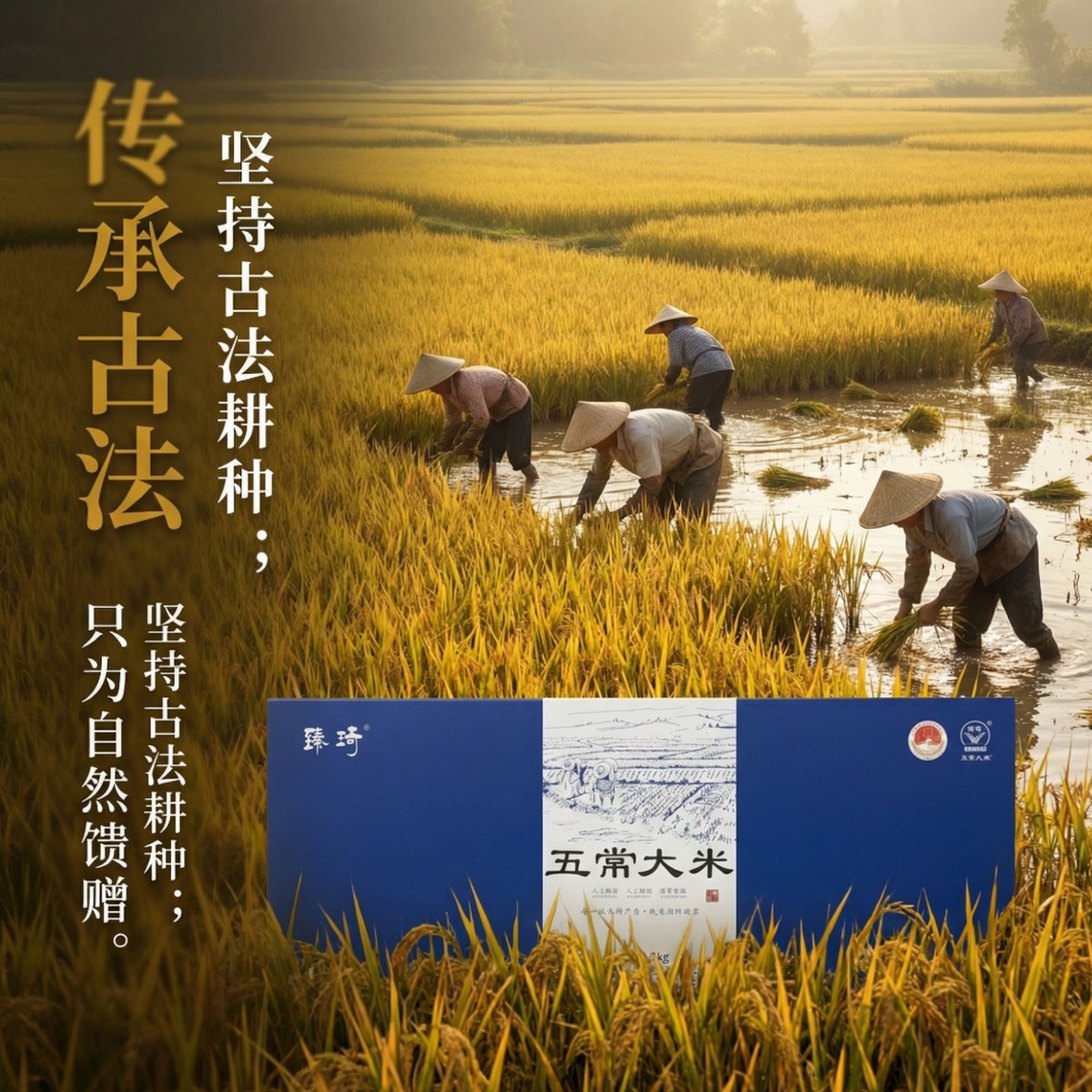 5kg 精美礼盒